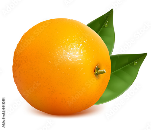 Vector fresh ripe orange with leaves.