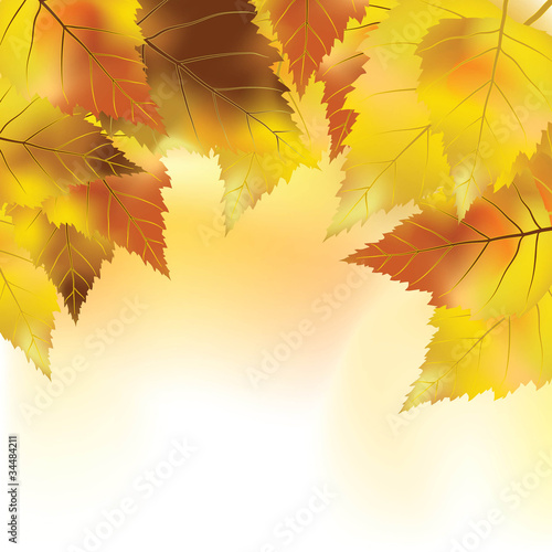 Colorful autumn background