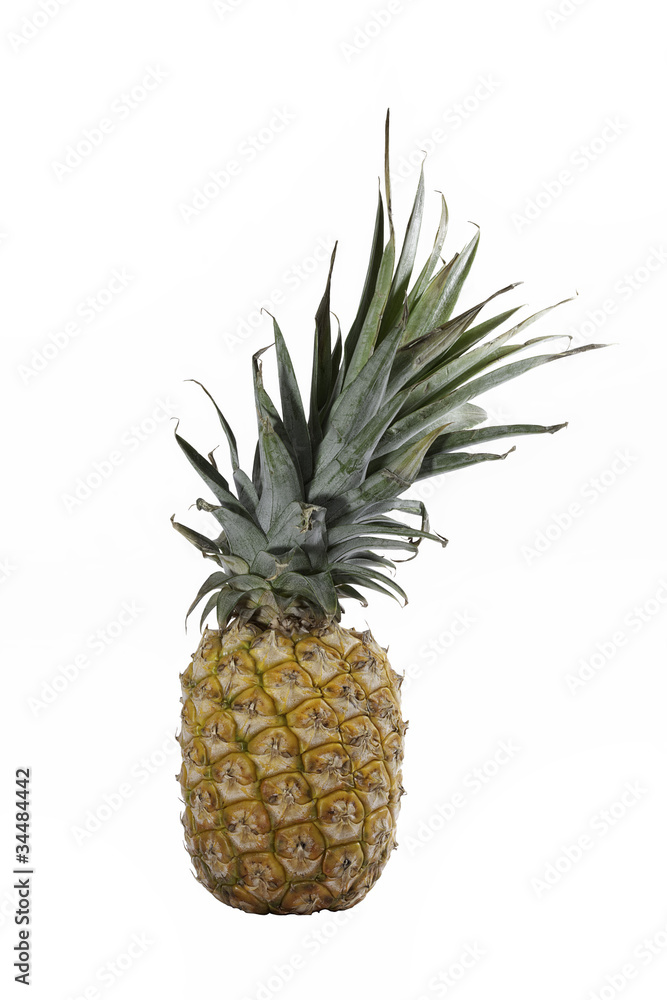 Pineapple isolated on white with a clipping map Pineapple isolated on white with a clipping map