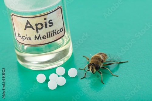 Apis Mellifica homeopathic pills, poison and bee photo