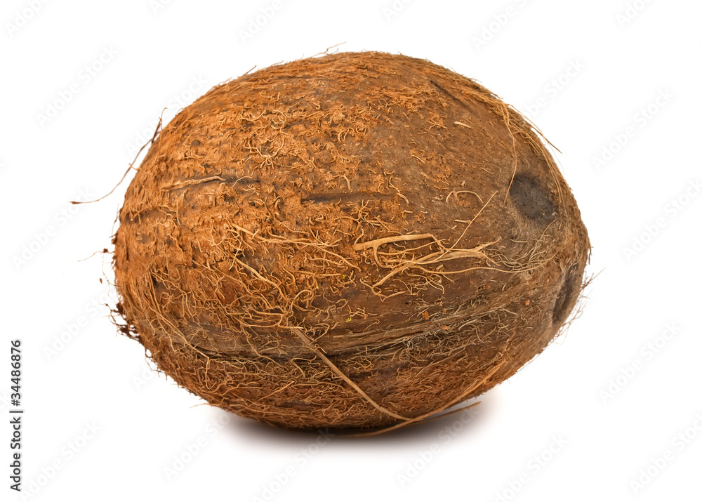 Single coconut Single coconut
