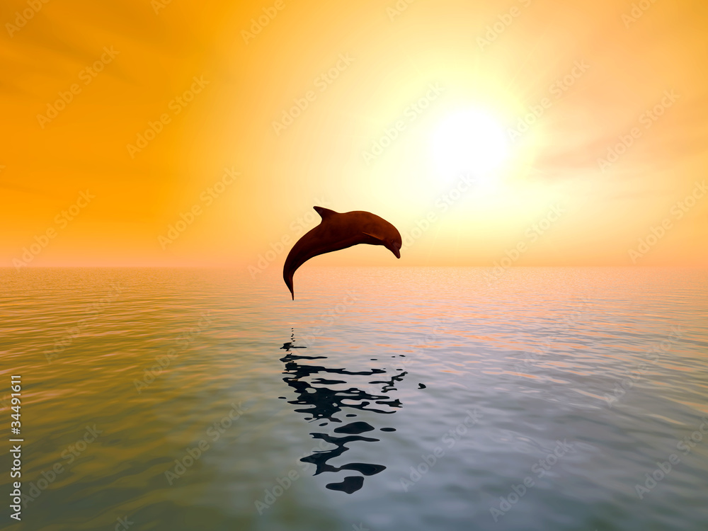 Fototapeta premium Jumping Dolphin