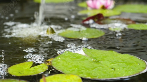 Chute d'eau,  bassin de jardin