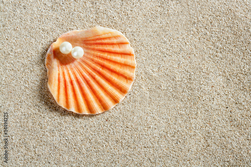 beach white sand pearl shell clam macro