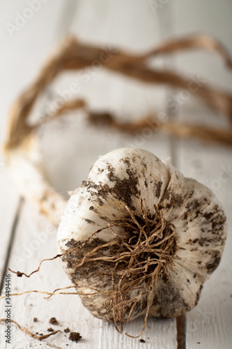 Garlic on White Wood