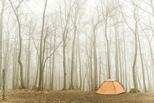 tourist tent stands in the misty forest © jahmaica