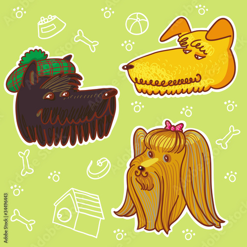 Scotch Terrier, Airedale, Yorkshire Terrier.
