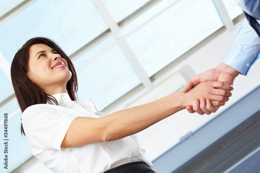 Fototapeta premium Formal handshake