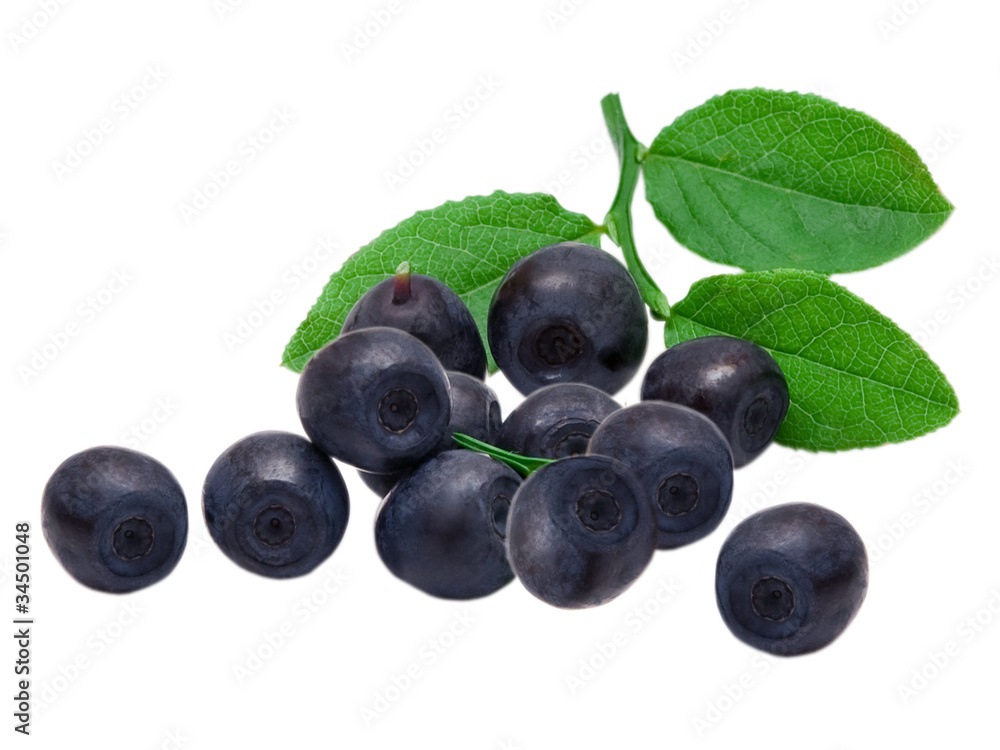Blueberry isolated on white background Blueberry isolated on white background