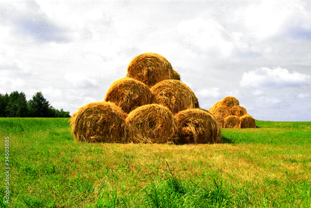 Some haystacks on the field