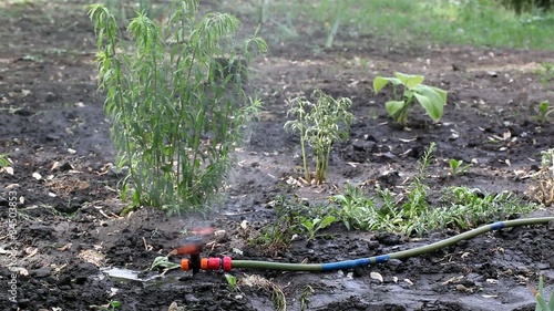Wallpaper Mural Automatic watering lawns and plants Torontodigital.ca