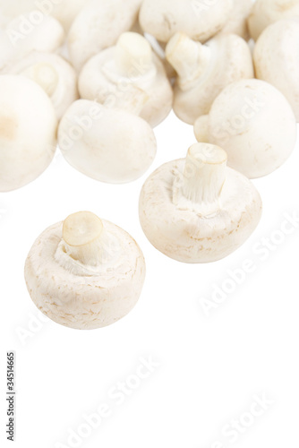Champignon mushrooms isolated on white backround