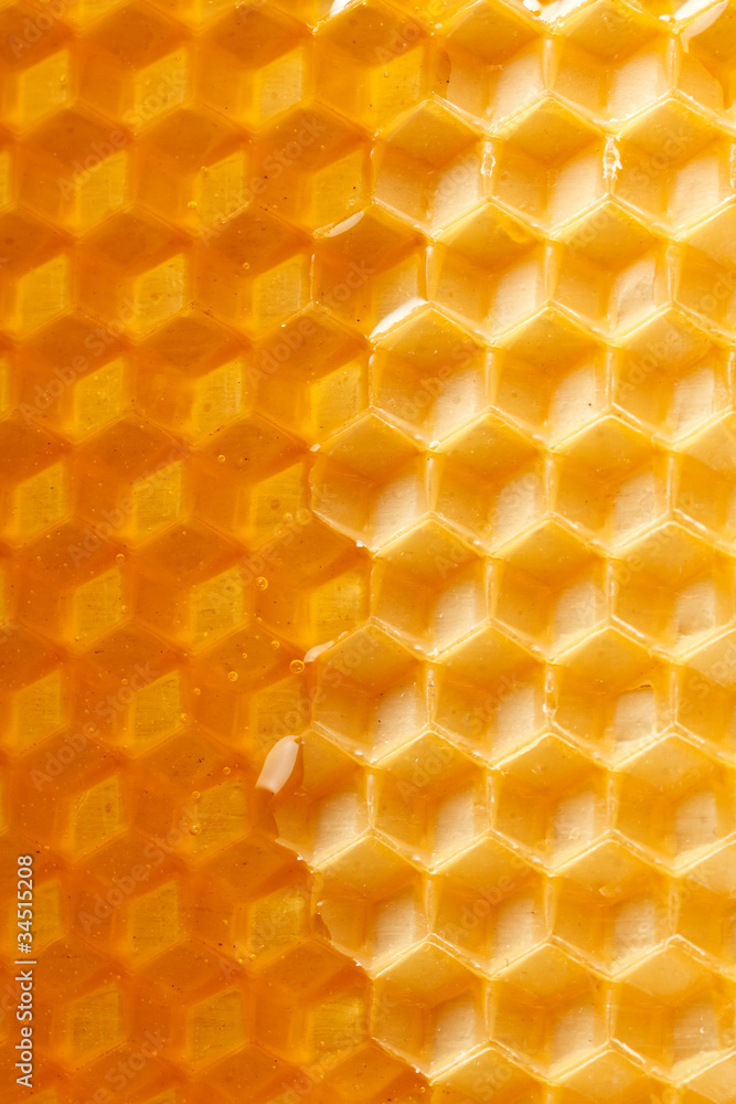 fresh honey in comb fresh honey in comb