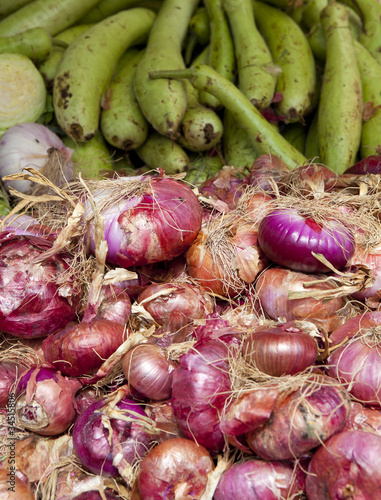 Courges et oignons photo