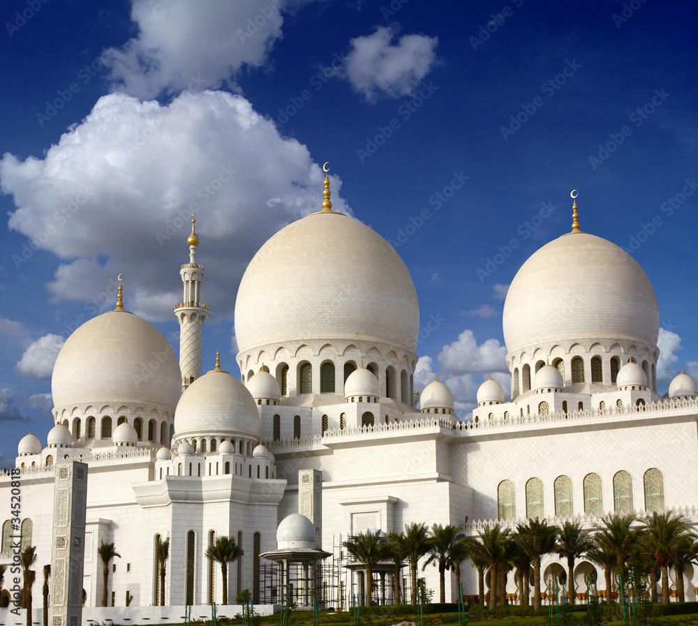 Obraz premium Sheikh Zayed mosque