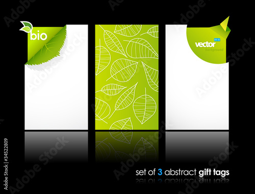 Set of nature gift cards with reflection.