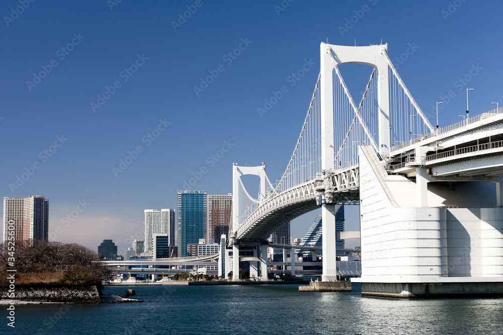 Obraz premium 東京港とレインボーブリッジ