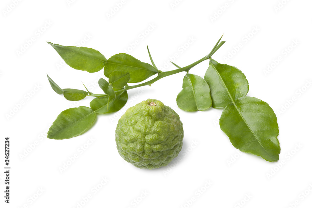 Kaffir lime and leaves Kaffir lime and leaves