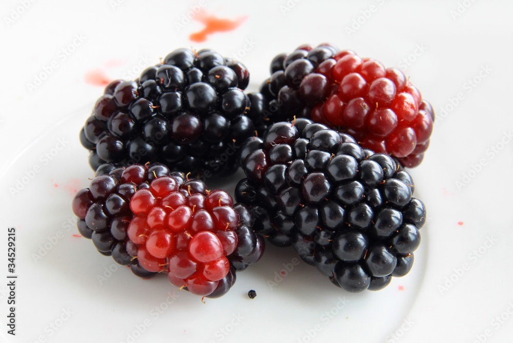 blackberries blackberries