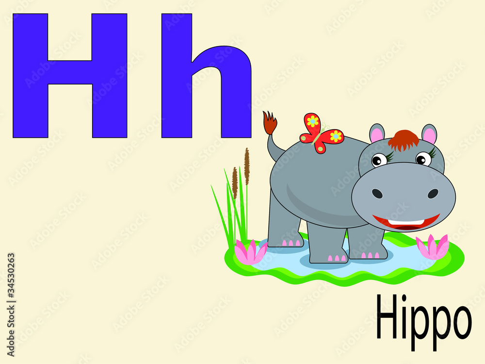 Obraz premium Animal alphabet H