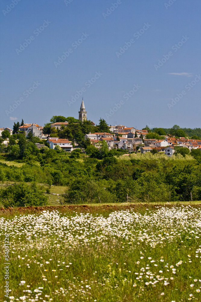 Fototapeta premium View to Zminj