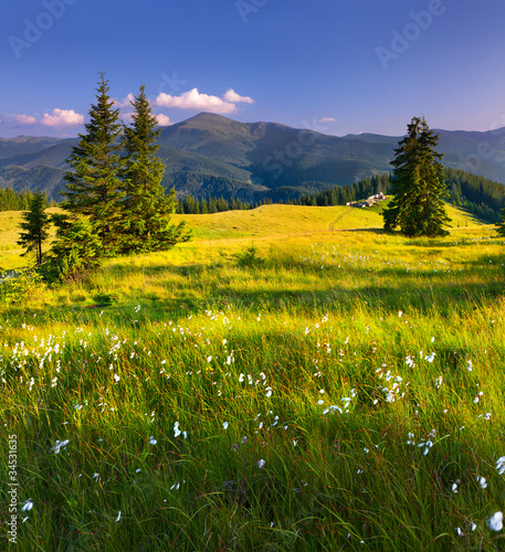Beautiful summer landscape in the  mountains