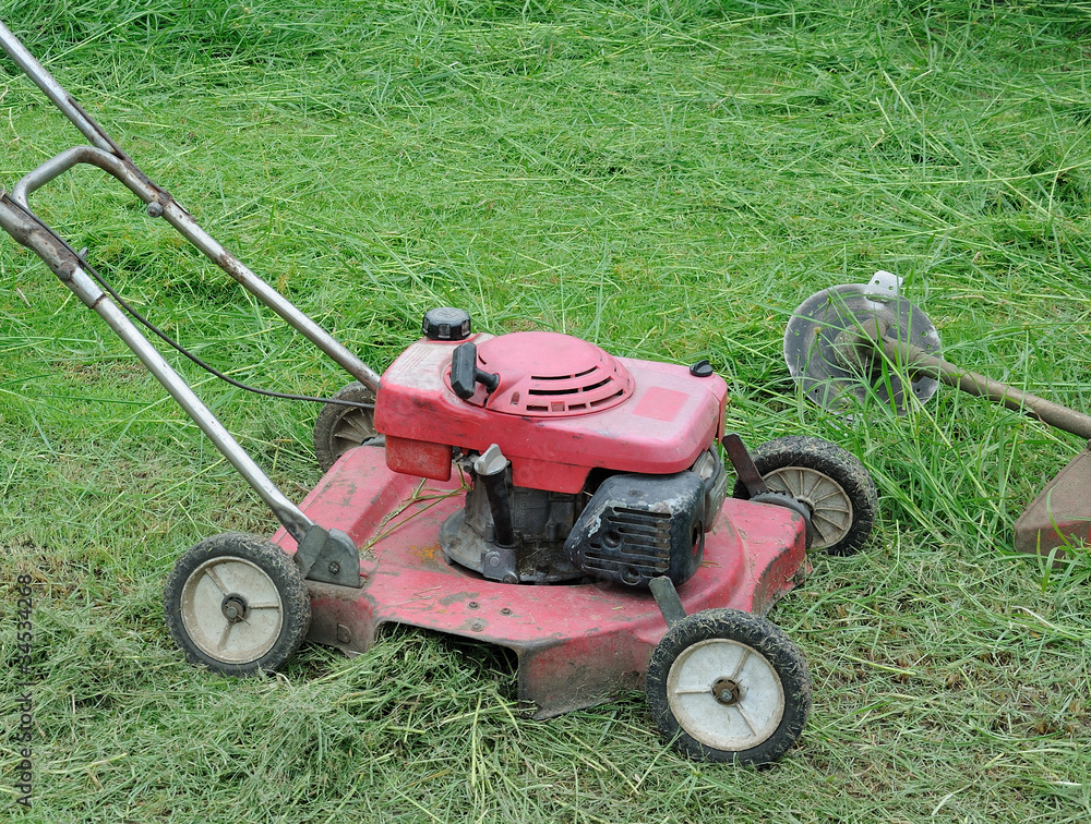 Obraz premium lawn mower in the garden