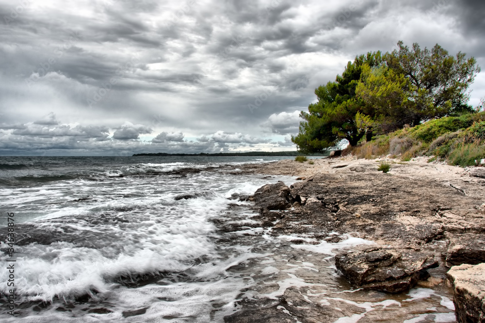 Fototapeta premium Wild Coast