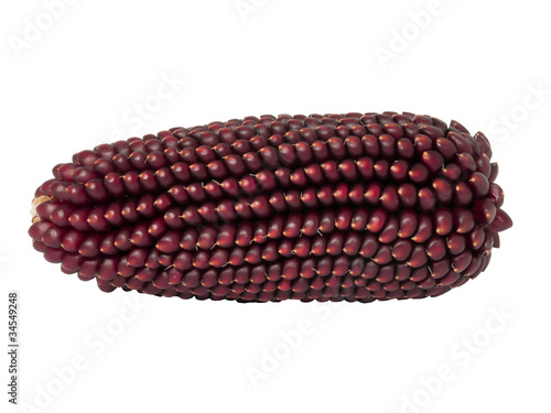Brown corn © toluk