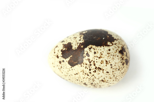 quail egg