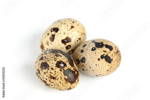 quail egg