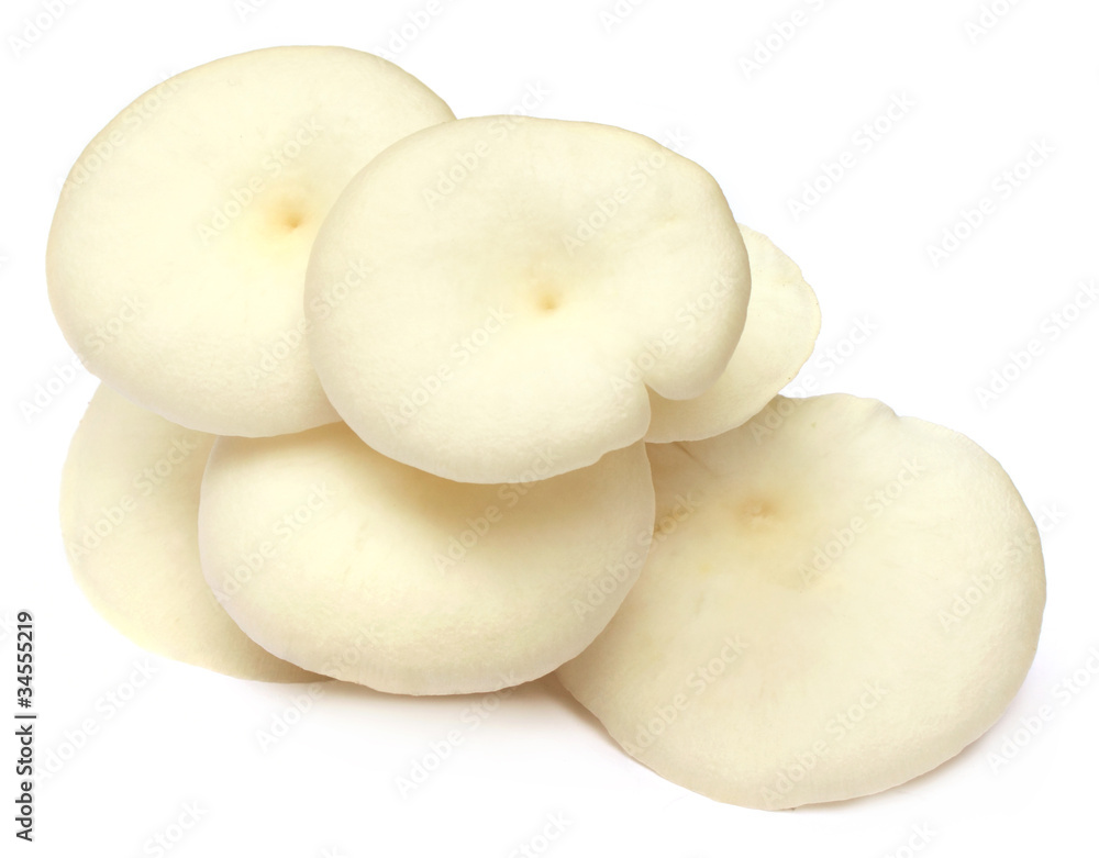 Oyster mushroom over white background Oyster mushroom over white background
