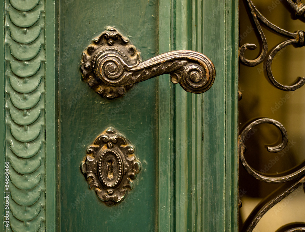 Fototapeta premium Hauseingang - grüne Holztüre mit Türklinke aus Metall