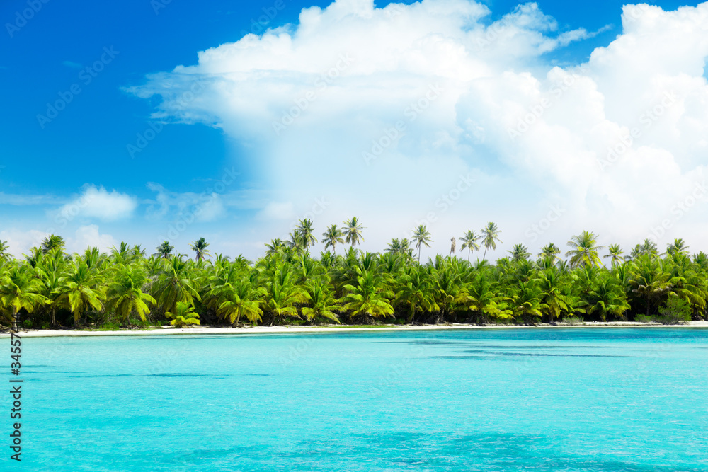 palms on island and caribbean sea
