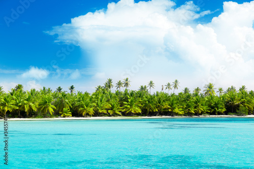 palms on island and caribbean sea
