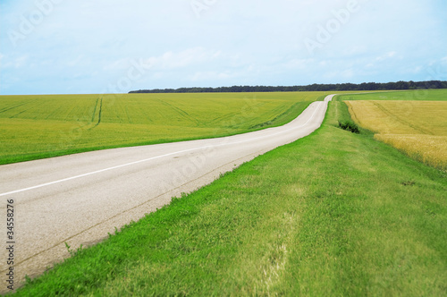 Asphalt road leaving afar and of fields with agriculture plants