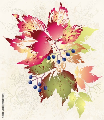 Illustration wild grapes. Autumnal background.