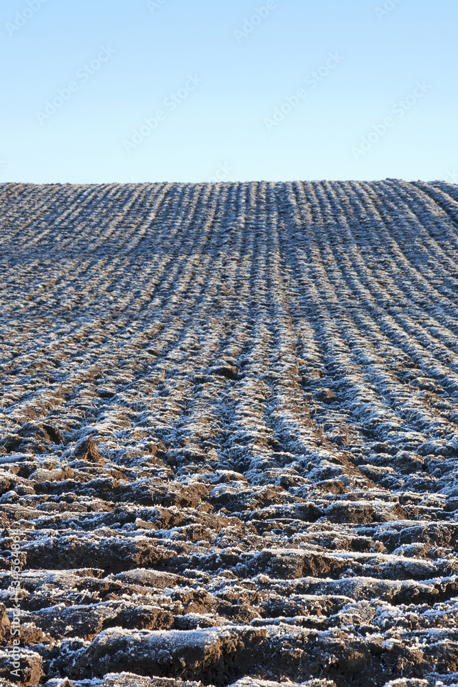 Plowed fields