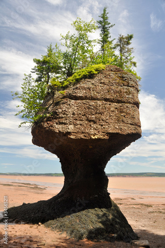 Hopewell Rocks at low tide