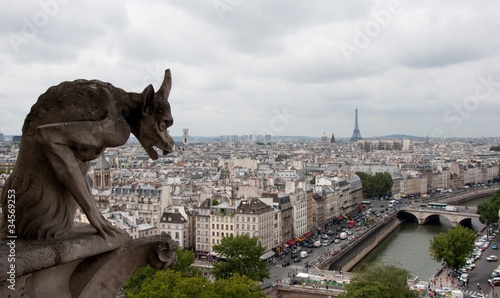 View from the Notre Dame, Paris