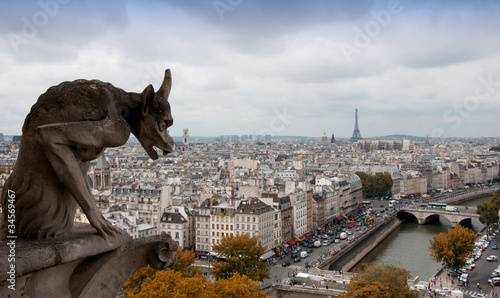 View from the Notre Dame, Paris