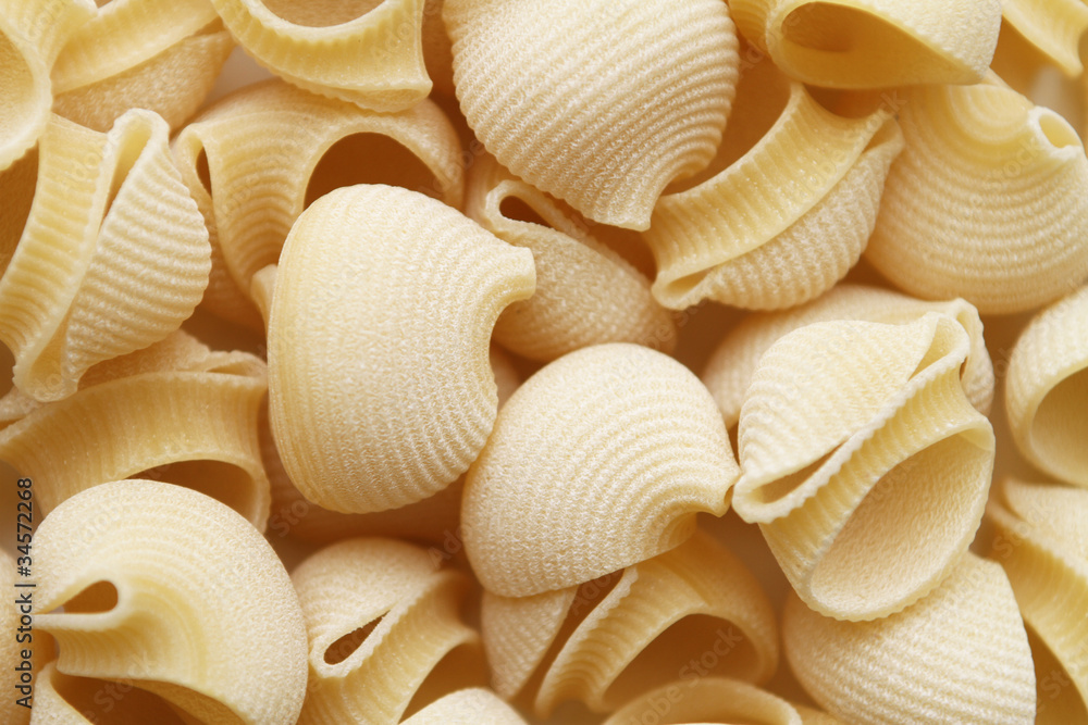 Pasta Shells Pasta Shells