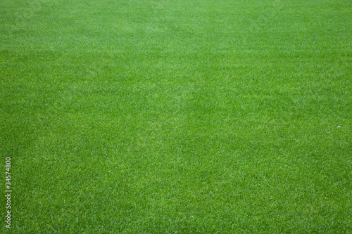 Football green grass background texture.