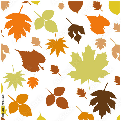 blätter herbst