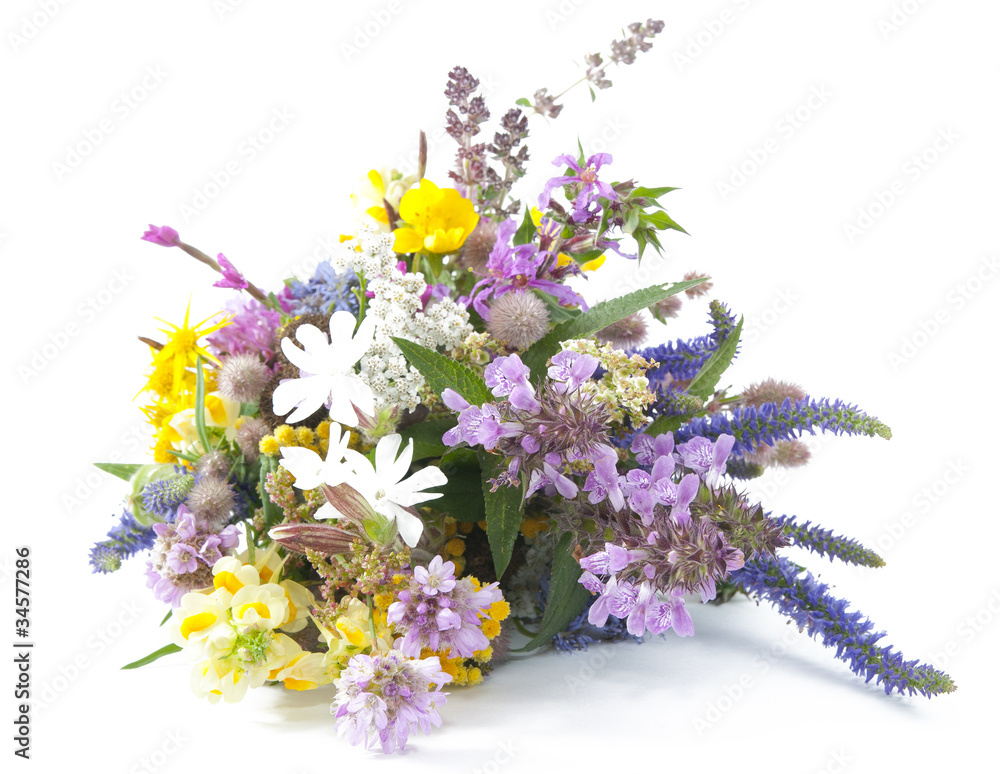 Bunch of meadow herbs