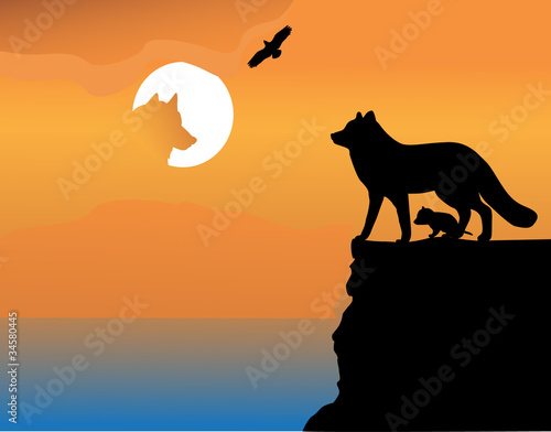 Bitch wolf