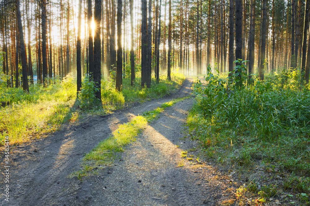 Fototapeta premium beautiful sunset