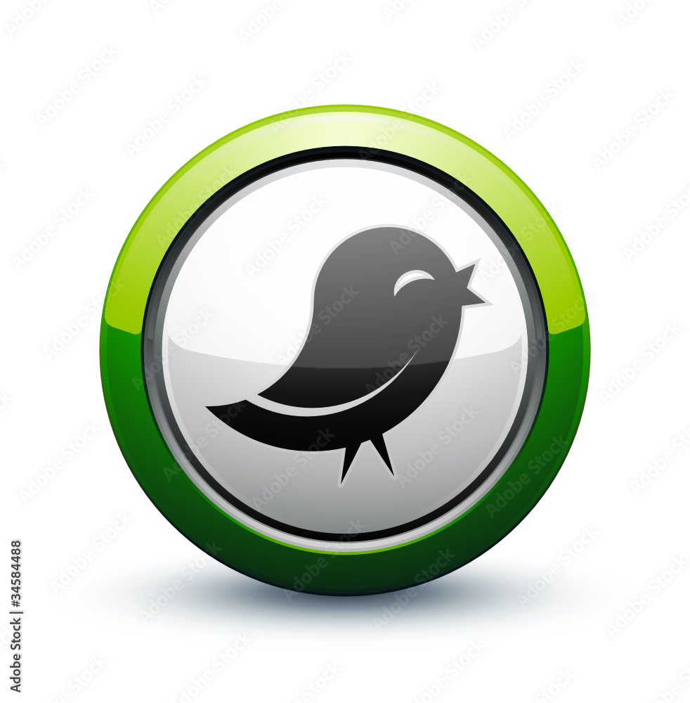 icône oiseau information icône oiseau information