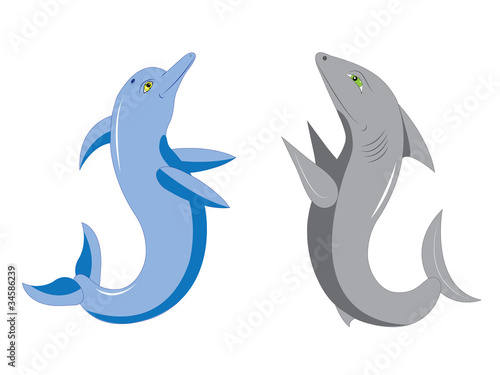 Dolphin and shark.
