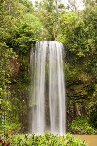 Millaa Millaa Falls in Queensland  Australia